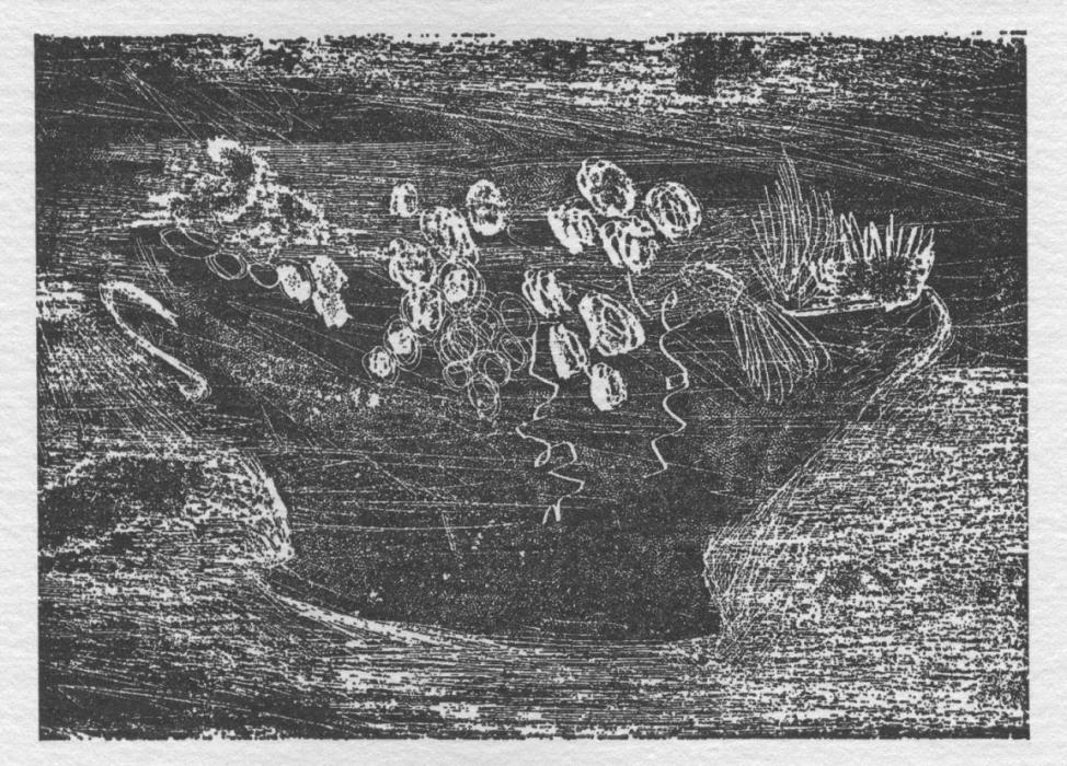 Sir Thomas Browne. Die Rose des Paracelsus. [Erstdruck]