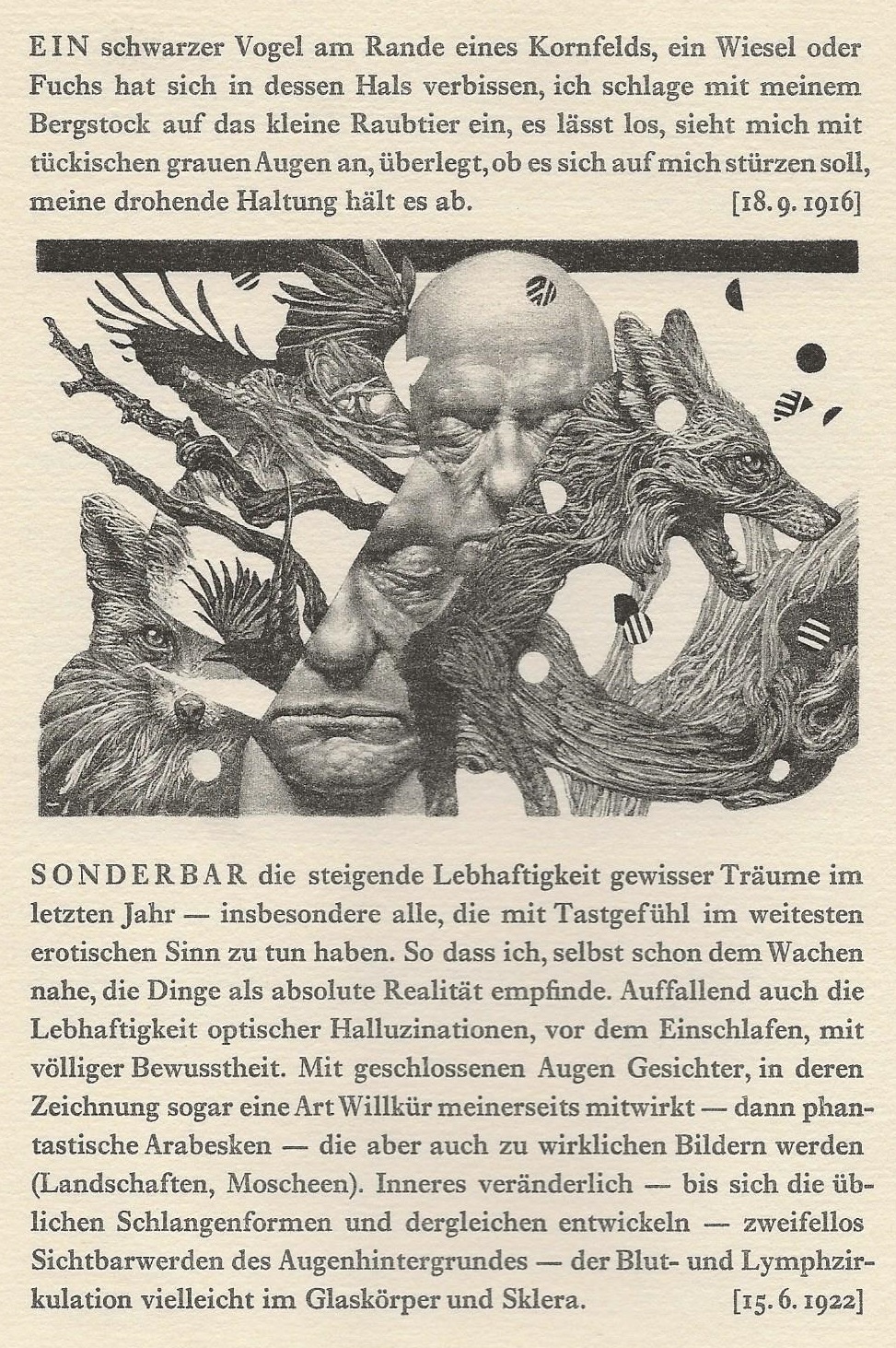 Arthur Schnitzler. 13 Träume.