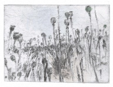 Hermann Hesse. Gedanken über die Landschaft, die Sprache und Jean Paul.