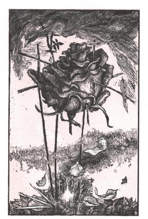 Jorge Luis Borges. Rose & Blau. [Erstdruck]